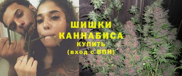 мдпв Володарск